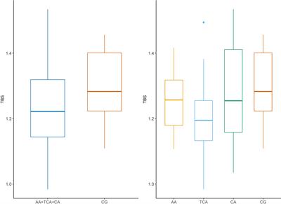 Trabecular Bone Score and Osteoprotegerin as Useful Tools in the Assessment of Bone Deterioration in Acromegaly